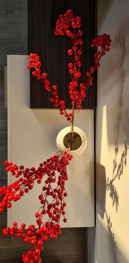 Apartment Li Ri Style Sora